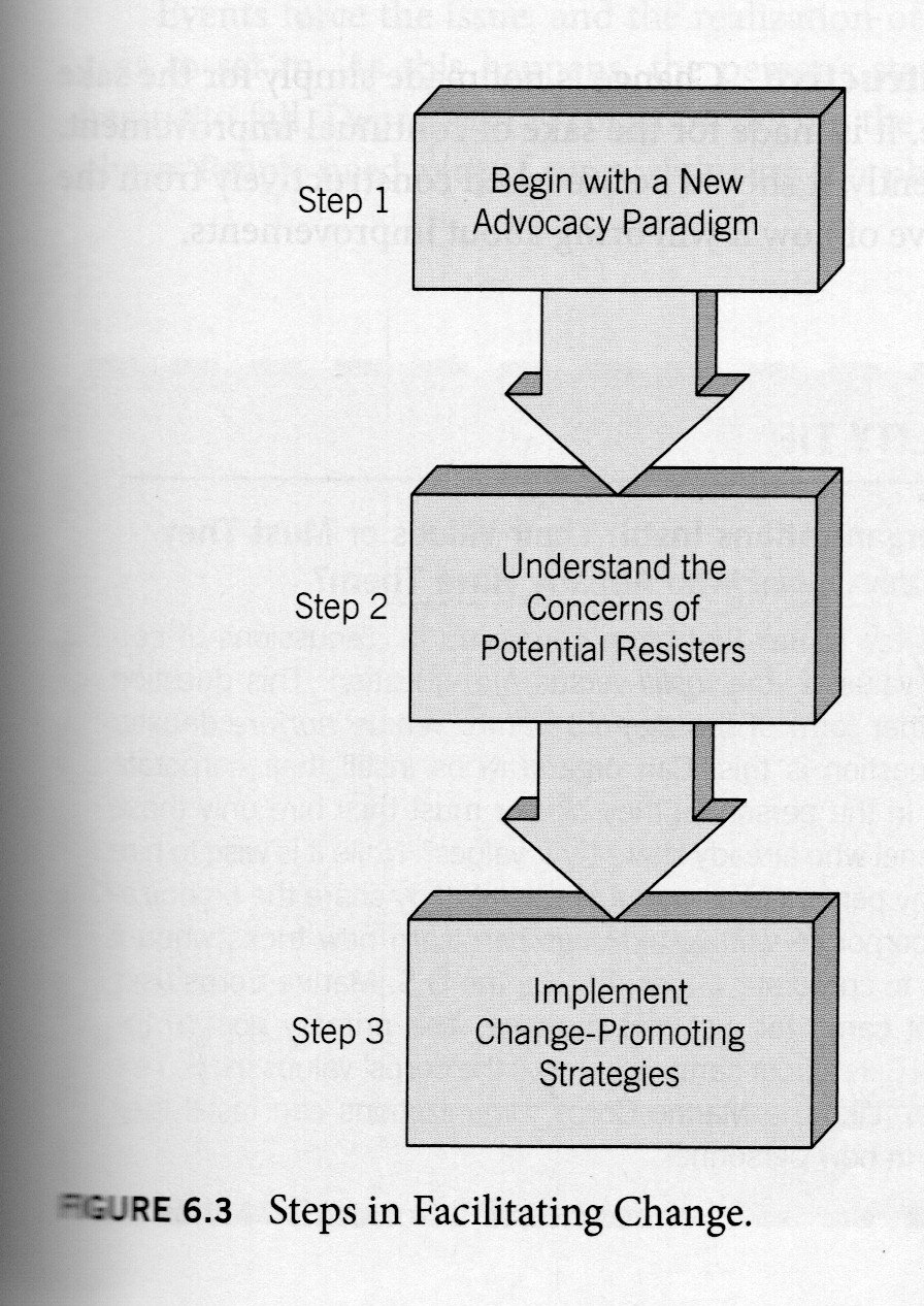Figure 6-3: Steps in Facilitation Change