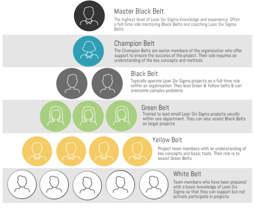 Lean Six Sigma Team Roles